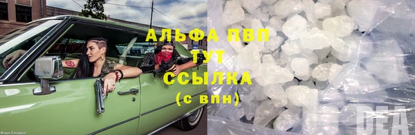 прущие грибы Абаза