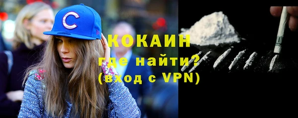 прущие грибы Абаза