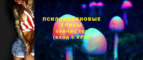 прущие грибы Абаза