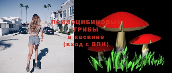 прущие грибы Абаза