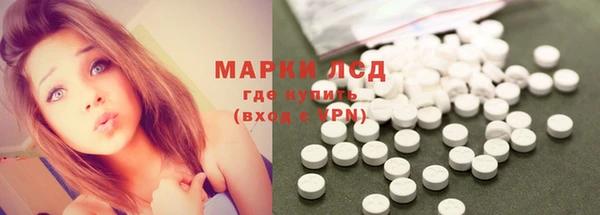 прущие грибы Абаза