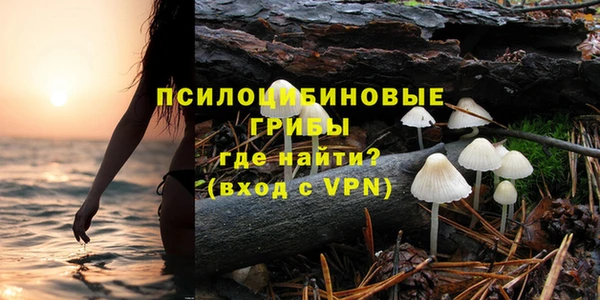прущие грибы Абаза