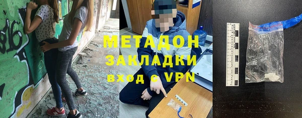 прущие грибы Абаза