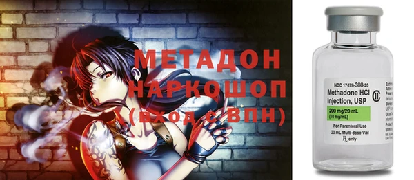 прущие грибы Абаза