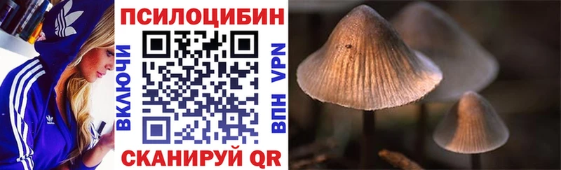 купить закладку  Петров Вал  Псилоцибиновые грибы мицелий 